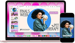 MacBook Neo, color rosa nube, al lado de un iPhone, la pantalla del MacBook Neo muestra una presentación con la foto de una persona sujetando un conejo, la pantalla del iPhone muestra la misma foto, que se ha convertido en un sticker para usar en la presentación