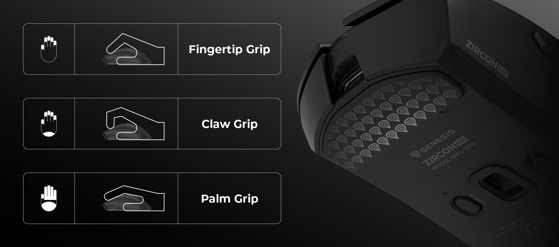 Mouse showing three grip styles: fingertip, claw, and palm with different hand positions.